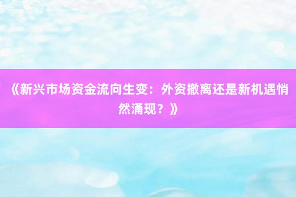 《新兴市场资金流向生变：外资撤离还是新机遇悄然涌现？》
